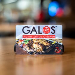 Galos_Bellingham_Sattva-Photo_DSC7822-1-1