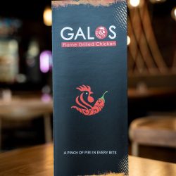 Galos_Bellingham_Sattva-Photo_DSC7884-1